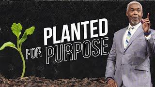 Planted For Purpose  Bishop Dale C. Bronner
