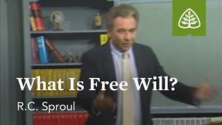 What Is Free Will? Chosen By God with R.C. Sproul