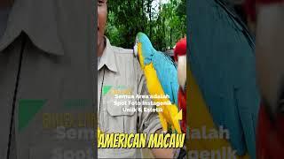 Jakarta Birdland Ancol #liburankeluarga #ancol #liburankeluarga