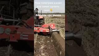 Кто знает как называется это техника??