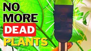 The BEST Plant SensorApp It Uses Science 🪴