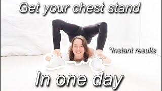 Chest Stand In One day Tutorial