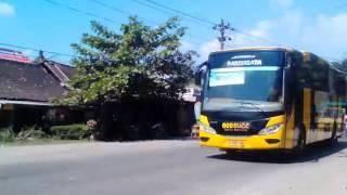 Klakson telolet beebus Cepu area