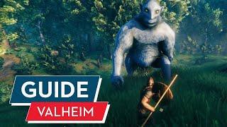 Valheim Einsteiger-Guide  Tipps für neue Wikinger