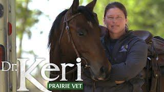 Meet Dr Keri - Dr. Keri Prairie Vet S1 Ep1 - Animal TV Shows  The Dock