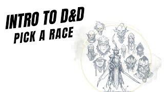 Intro to D&D Pick a race