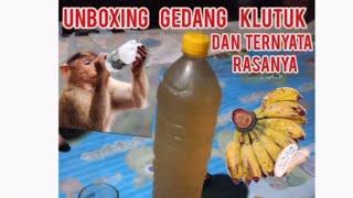 unboxing gedang klutok dan ternyata rasanya 