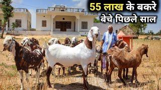 ऐसे शानदार Heavy बकरे देखकर तबियत खुश हो जाएगी  Goat Farming  Bakra Palan