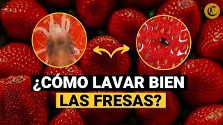 ¿CÓMO LAVAR FRESAS para EVITAR PARÁSITOS? 