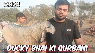 ducky Bhai Ki 2024 ki Qurbani  Lahore Bakra Mandi Shahpur Kanjra  desi Chatra  bakra Eid
