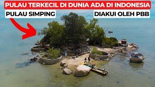 TERNYATA PULAU TERKECIL DI DUNIA ADA DI INDONESIA DIAKUI PBB PULAU SIMPING