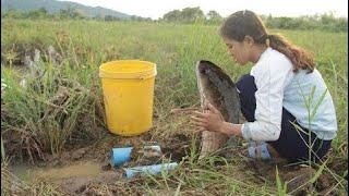 Wow. Amazing beautiful girl Fishing in Cambodia - How to Fishing -  part 195