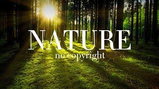 Free Nature Videos With Free Music - No Copyright - No copyright video - Royalty free nature videos