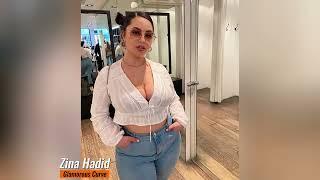 Zina Hadid  Plus Size Model  Biography  Facts  Relationship  Lifestyle