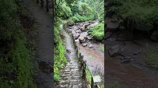 Trek Hutan Menuju Air Terjun Madakaripura Probolinggo Ngikutin Aliran Sungai dari Gunung Semeru