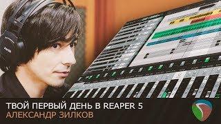 Твой первый день в Reaper 5 Нескучный Саунд