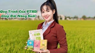 Quy Trình Canh Tác Với VTHD Để Đạt Năng Suất Cao