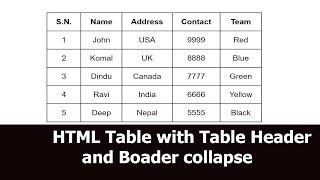 HTML Table with Table header and border collapse For Beginner