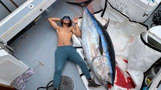 Worlds MOST EXPENSIVE Fish... 600 POUND Bluefin Tuna Commercial Fishing
