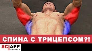 Самый Лучший Сплит — Как Группировать Мышцы  Джефф Кавальер