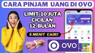 Cara Pinjam Uang di OVO Untuk Pengguna Baru Langsung Cair  Pinjam Saldo OVO