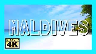 Visitez les Îles des Maldives en 4k Ultra HD  Malé  Maafushi  + Dauphins en Bonus  Travel 4k