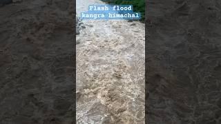 #flashflood #mansoon #flood #flashfloodwarning