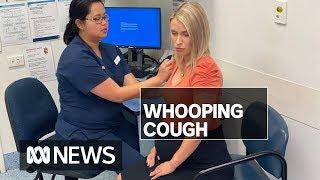 Whooping cough spike prompts warning to pregnant women  ABC News