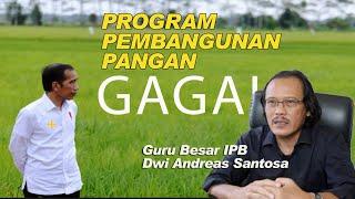 Guru Besar IPB  Semua Program Pembangunan Pangan Jokowi Gagal