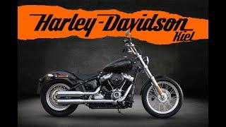 Harley-Davidson Kiel SOFTAIL STANDARD FXST - JEKILL&HYDE - SPEICHEN