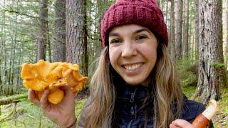 Wild Chanterelle Mushroom Hunting + The Best Way to Cook Chanterelles  Foraging in the PNW