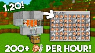 Chicken Farm Minecraft Bedrock 1.21 Tutorial MCPEXboxPS4Nintendo SwitchWindows10