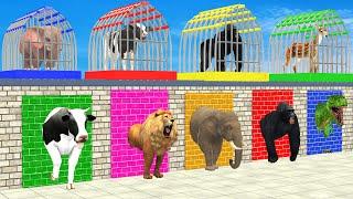 Elephant Cow Lion Tiger Gorilla 3d Animal Long Slide Game Funny 3d Paint Animals Cage Game