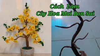 Cách làm cây hoa mai bon sai đẹp đơn giản nhất