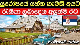 සර්බියාවේ රැකියා අවස්ථා රැසක්    serbia  country & job vacancies