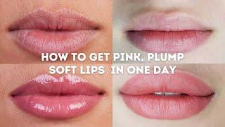 how to get pink plump soft lips in ONE DAY