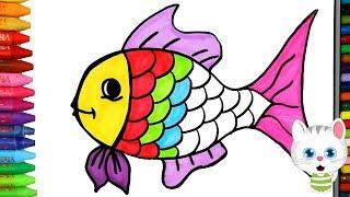 Wie zeichnet man Fisch   Zeichnen und Ausmalen für Kinder