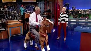 PonyCycle ® ride on toy  on New Summer Toys  late show