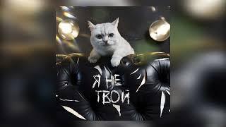 Мистер Кот - Я не твой Official Meow