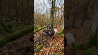 LOG RIDE GONE WRONG #mtb #shorts