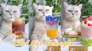 【Chef Cat ChangAn】Surprise in the End  Wonderful Compilation of  A Month #CatCookingAsmr