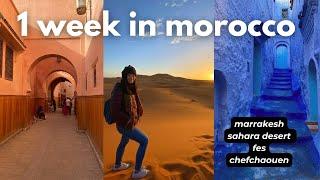 1 WEEK IN MOROCCO TRAVEL ITINERARY  should you go?