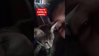 Ang Aking PUSA Na Mahilig Mag Vlog Camera #entertainment #cat