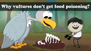 Why vultures dont get food poisoning?  #aumsum #kids #science #education #children