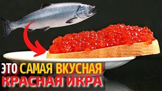 Топ 10 Самых Вкусных Видов Икры  Самая Вкусная Красная Икра  Как Выбрать Красную Икру