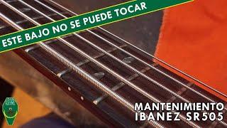 ¡Este bajo no se puede tocar  - Mantenimiento Ibanez SR505