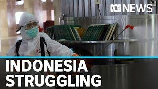 Indonesia struggles to contain coronavirus  ABC News