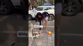 Karishma Tanna Shows Her Softer Side Shares A Cute Moment With A Stray Kitten   News18 #shorts N18S