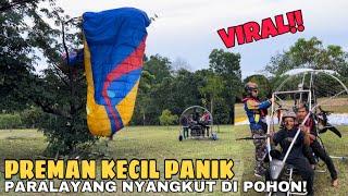 Viral Dua Preman Kecil Naik Paralayang Nyangkut Di Pohon