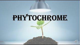  Phytochrome   various responses structure interconvertible forms and its functions